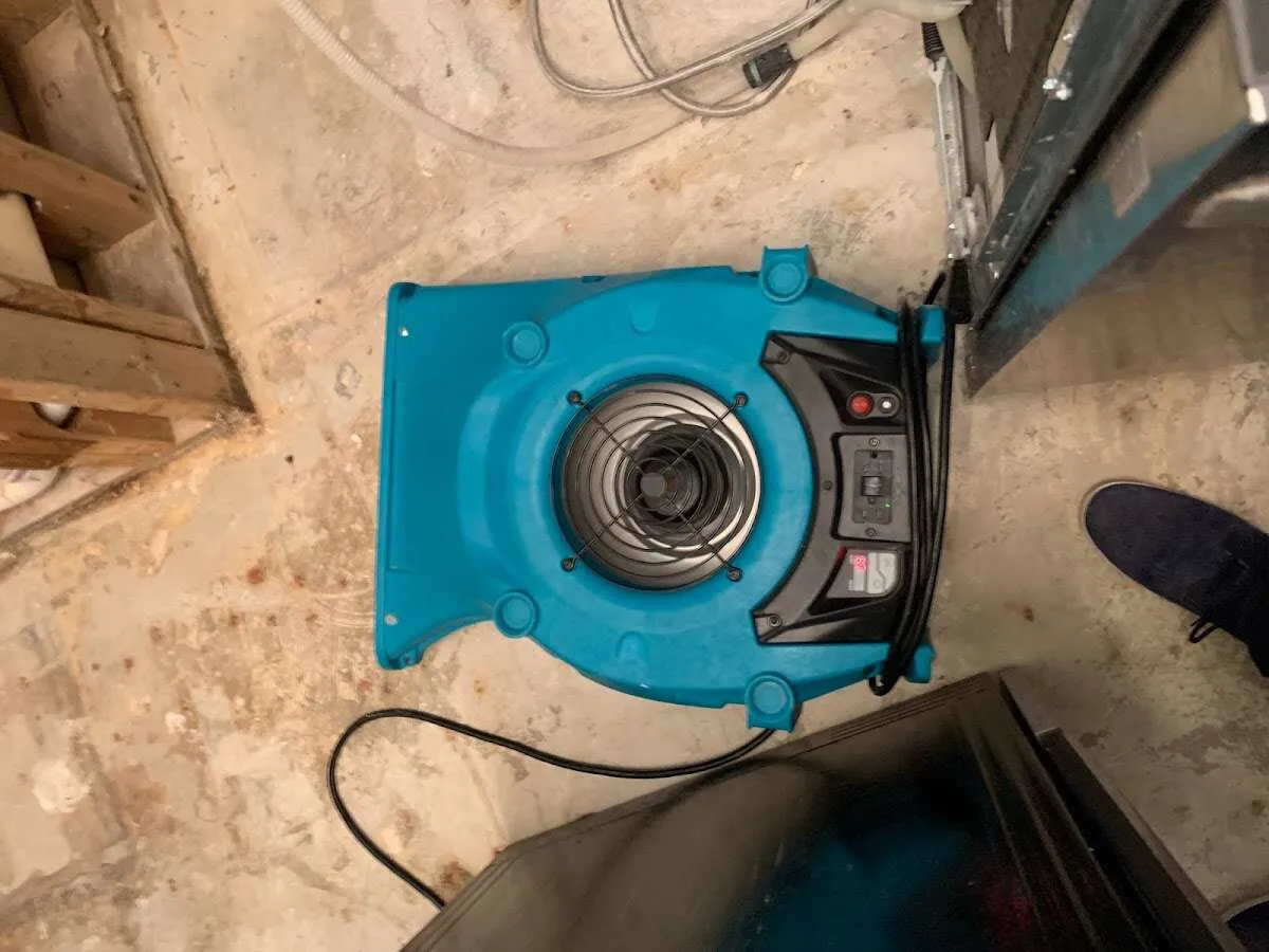 Air mover drying equipment for Mold Remediation & Removal in Wimauma
