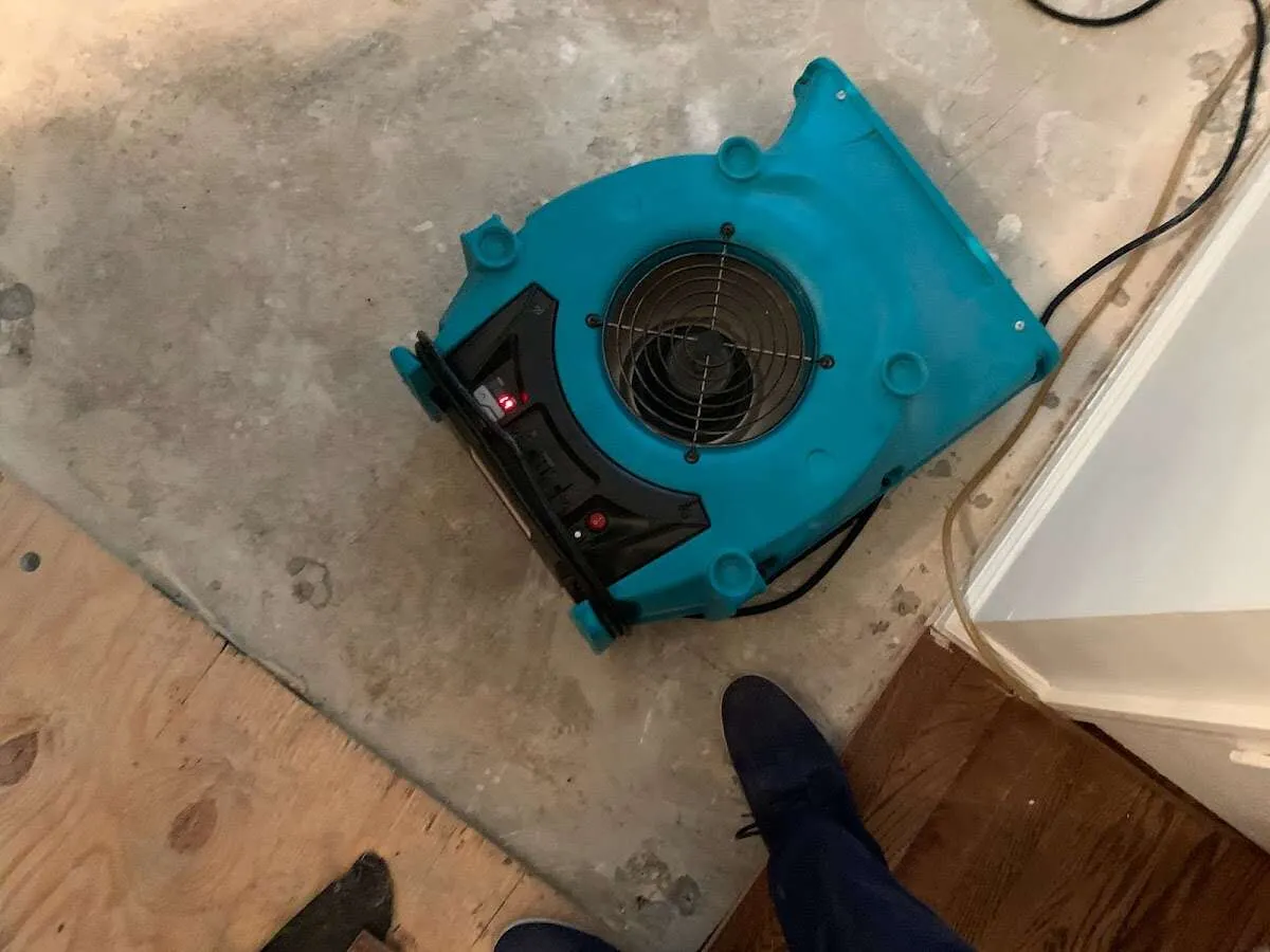 Air mover drying subfloor during Commercial Water Damage Restoration in Wimauma
